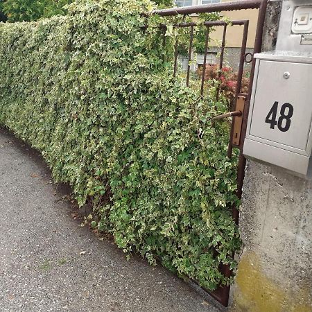 Apartman Zdenka Marija Lägenhet Varaždin Exteriör bild